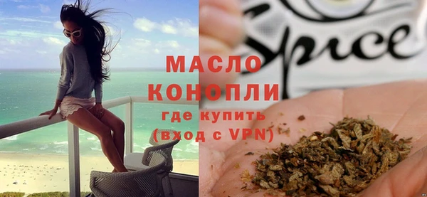 амф Верхний Тагил