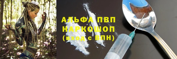 амф Верхний Тагил