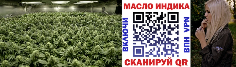 где купить наркотик Людиново Дистиллят ТГК THC oil